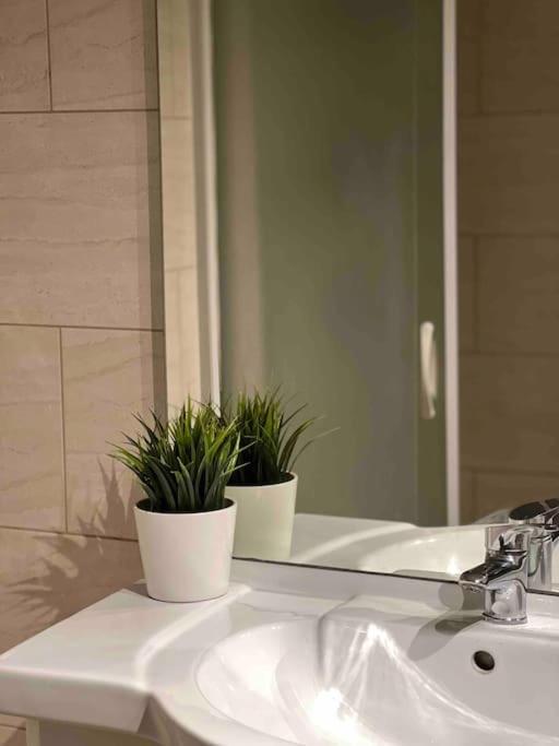Cosy Apartment Antwerpen Center2 Zewnętrze zdjęcie